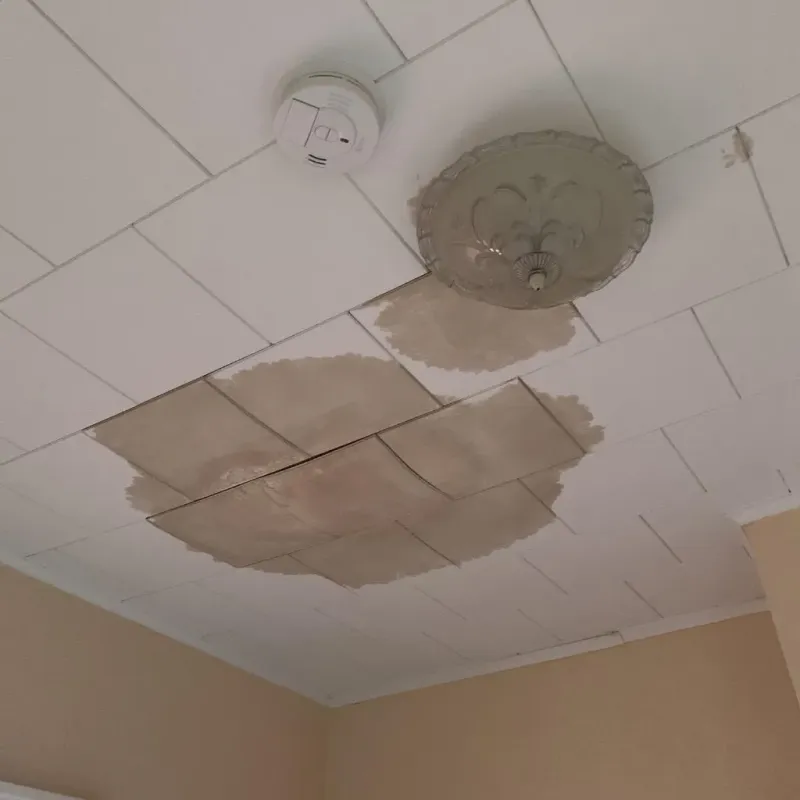 Ceiling Water Damage Repair in Orange Lake, NY