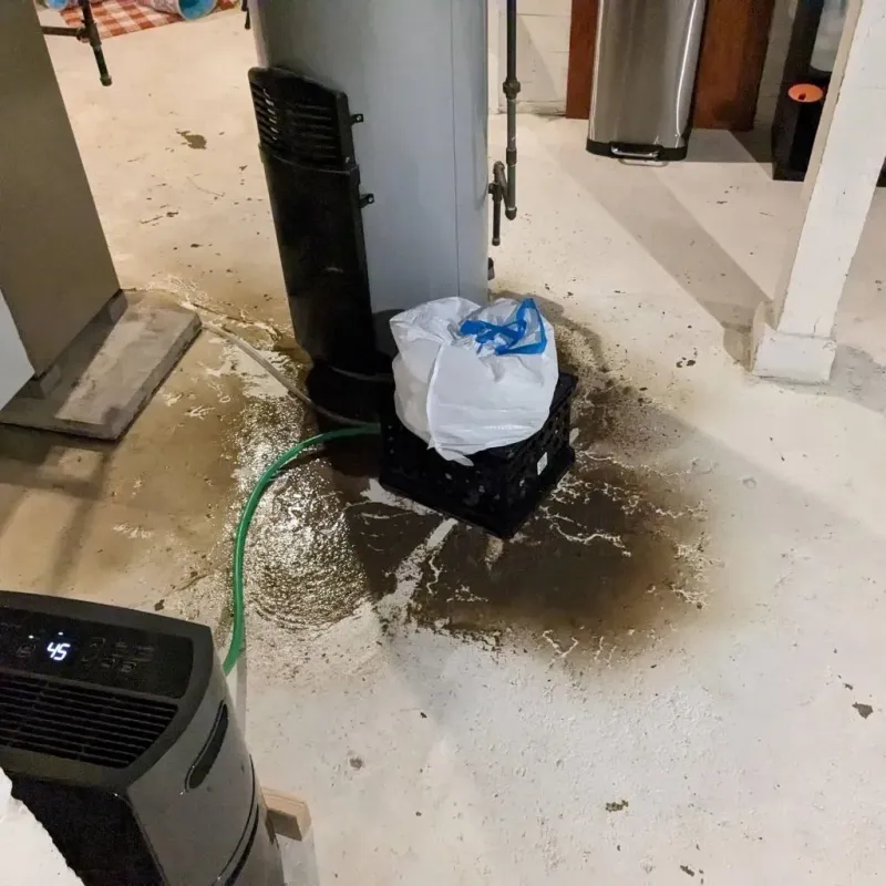 Sewage Backup Cleanup Service in Orange Lake, NY